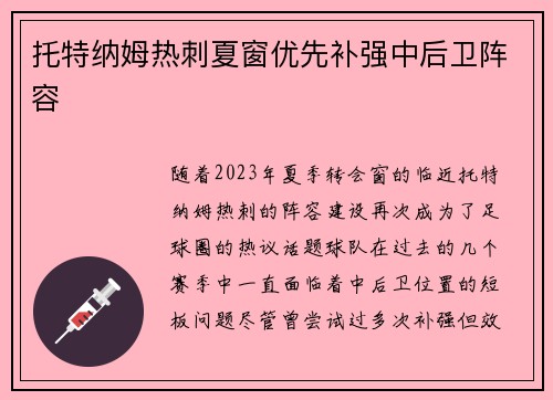 托特纳姆热刺夏窗优先补强中后卫阵容
